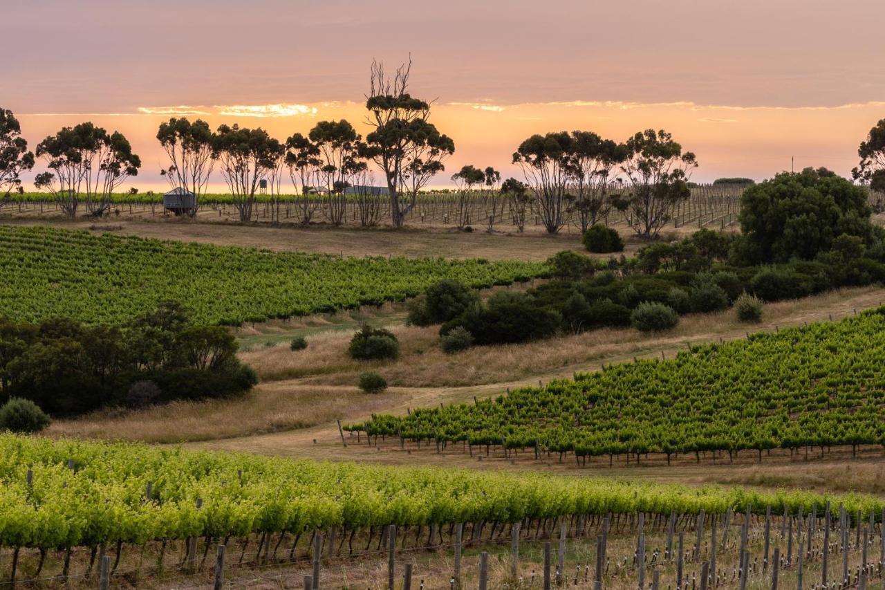 Hotel California Road At Inkwell Wines Mclaren Vale Exterior foto